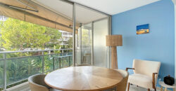 1 PIÈCE 38 M² AGREABLE STUDIO DONNANT SUR JARDINS A CÔTÉ DU CARLTON