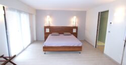 MAGNIFIQUE ET LUXUEUX 5 PIÈCES EN PLEIN CENTRE VILLE