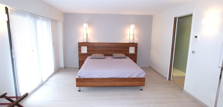 MAGNIFIQUE ET LUXUEUX 5 PIÈCES EN PLEIN CENTRE VILLE