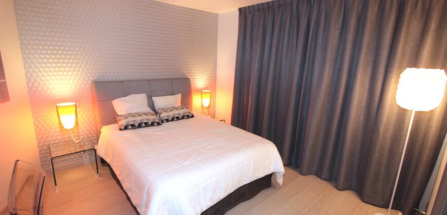 MAGNIFIQUE ET LUXUEUX 5 PIÈCES EN PLEIN CENTRE VILLE