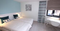 MAGNIFIQUE ET LUXUEUX 5 PIÈCES EN PLEIN CENTRE VILLE