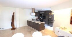 MAGNIFIQUE ET LUXUEUX 5 PIÈCES EN PLEIN CENTRE VILLE