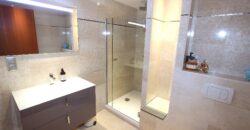 MAGNIFIQUE ET LUXUEUX 5 PIÈCES EN PLEIN CENTRE VILLE