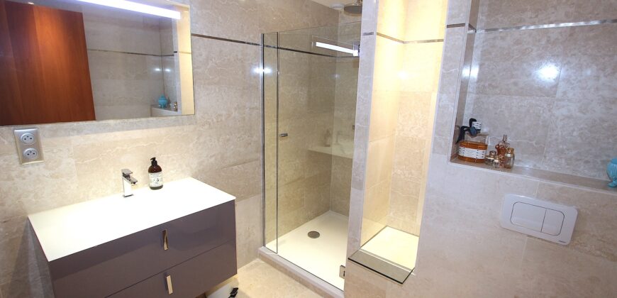 MAGNIFIQUE ET LUXUEUX 5 PIÈCES EN PLEIN CENTRE VILLE