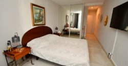 T4 FACE PALAIS